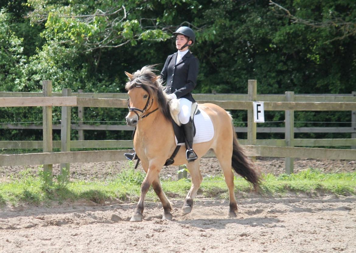 Anden særlig race Tobias billede 13