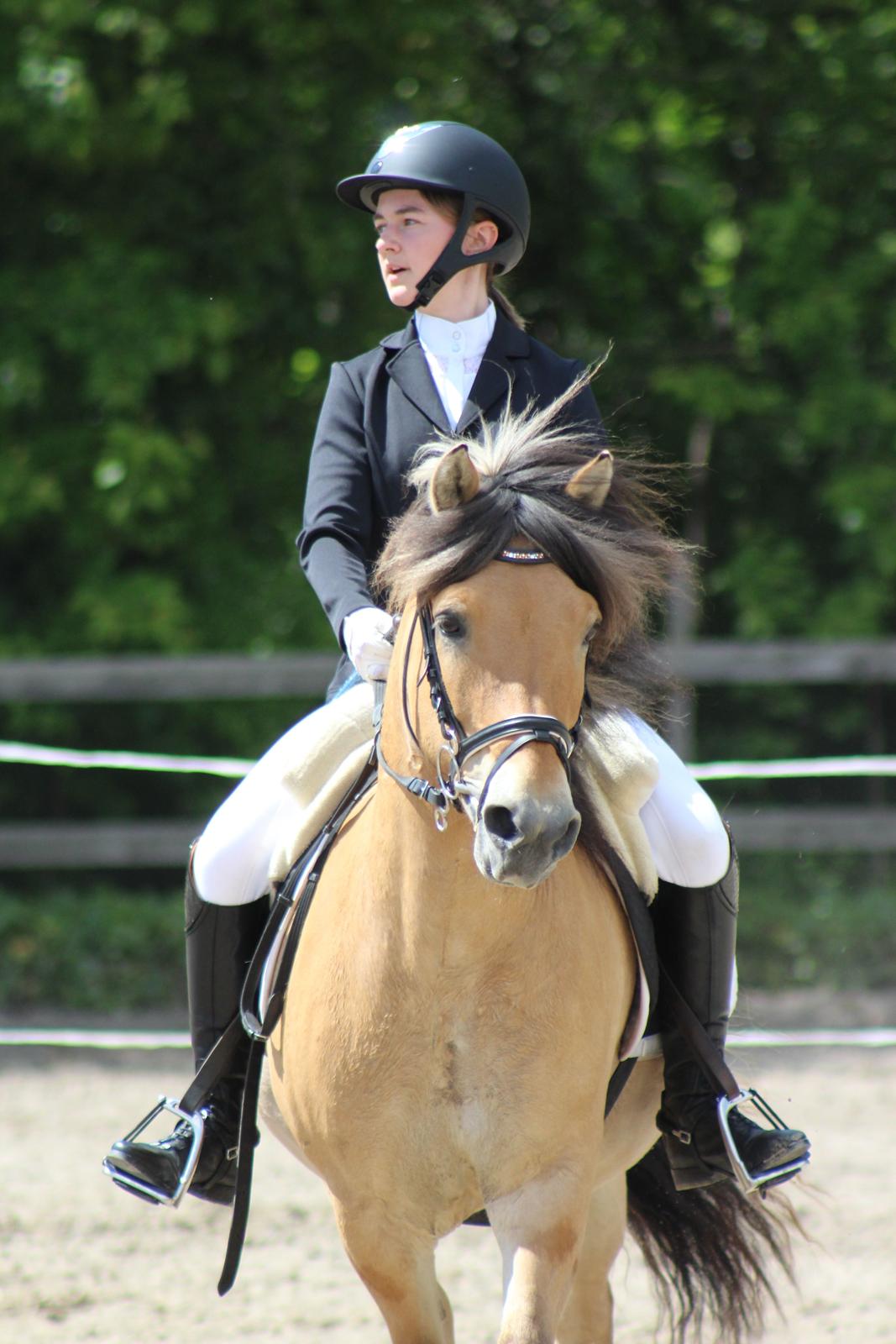 Anden særlig race Tobias billede 19