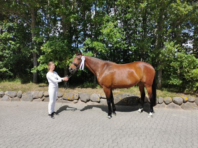 Anden særlig race - Donna billede 15