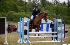 DSP Snorgaards Mango billede 16