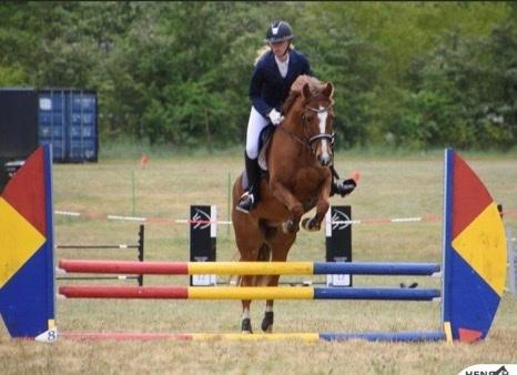 DSP Snorgaards Mango billede 17