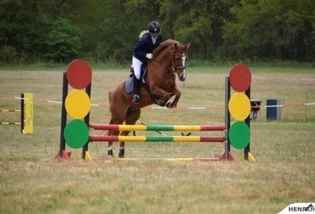 DSP Snorgaards Mango billede 18