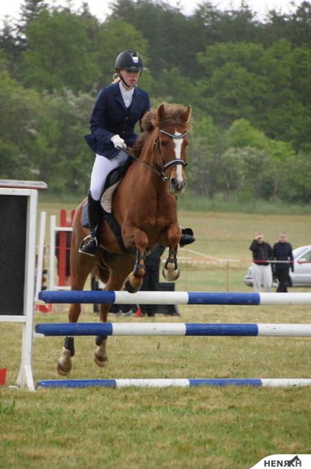 DSP Snorgaards Mango billede 19