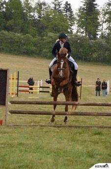 DSP Snorgaards Mango billede 20