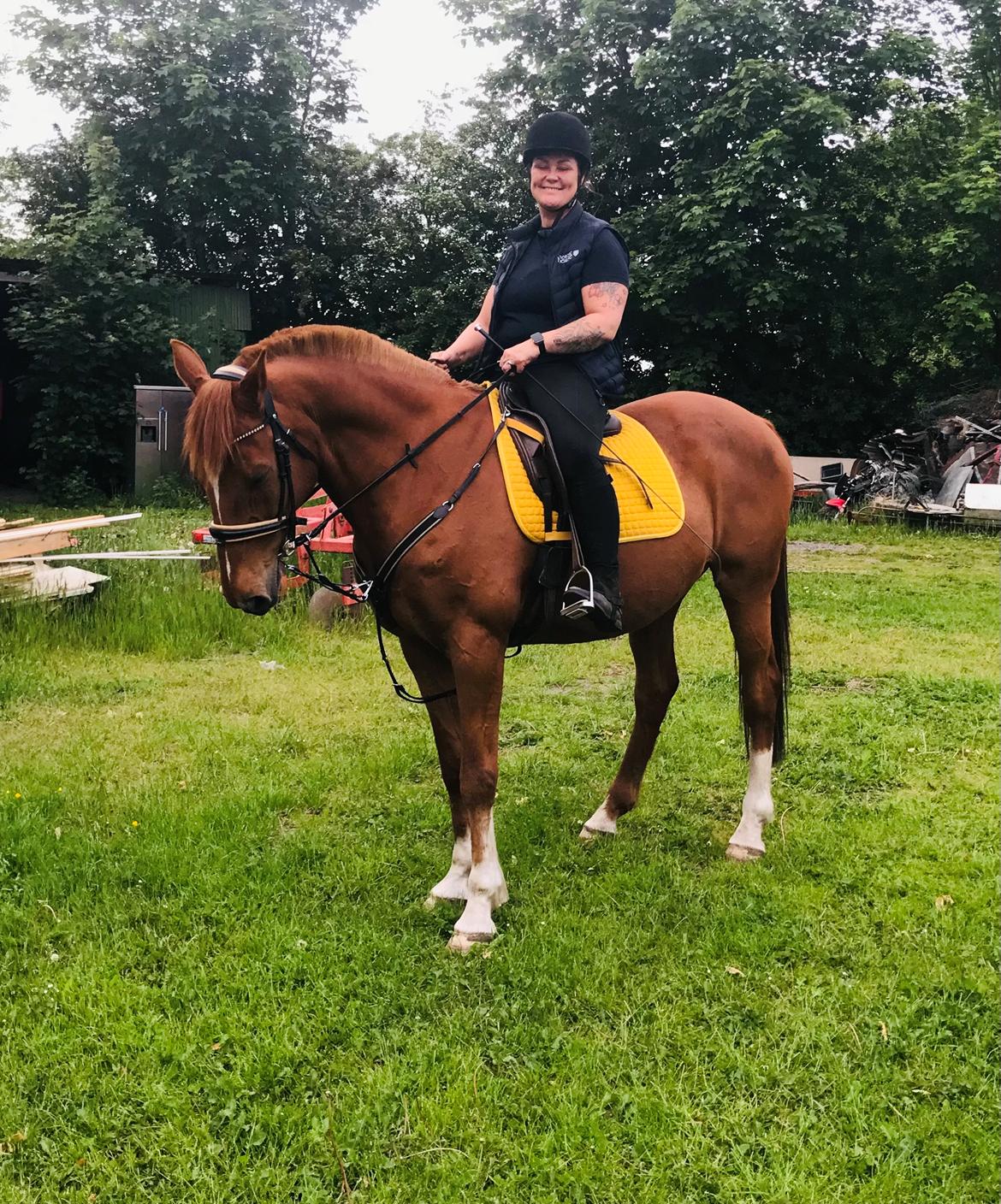 Holstener Nouvel artiste z - Så flot han er efter han er kommet på rette foged igen billede 2