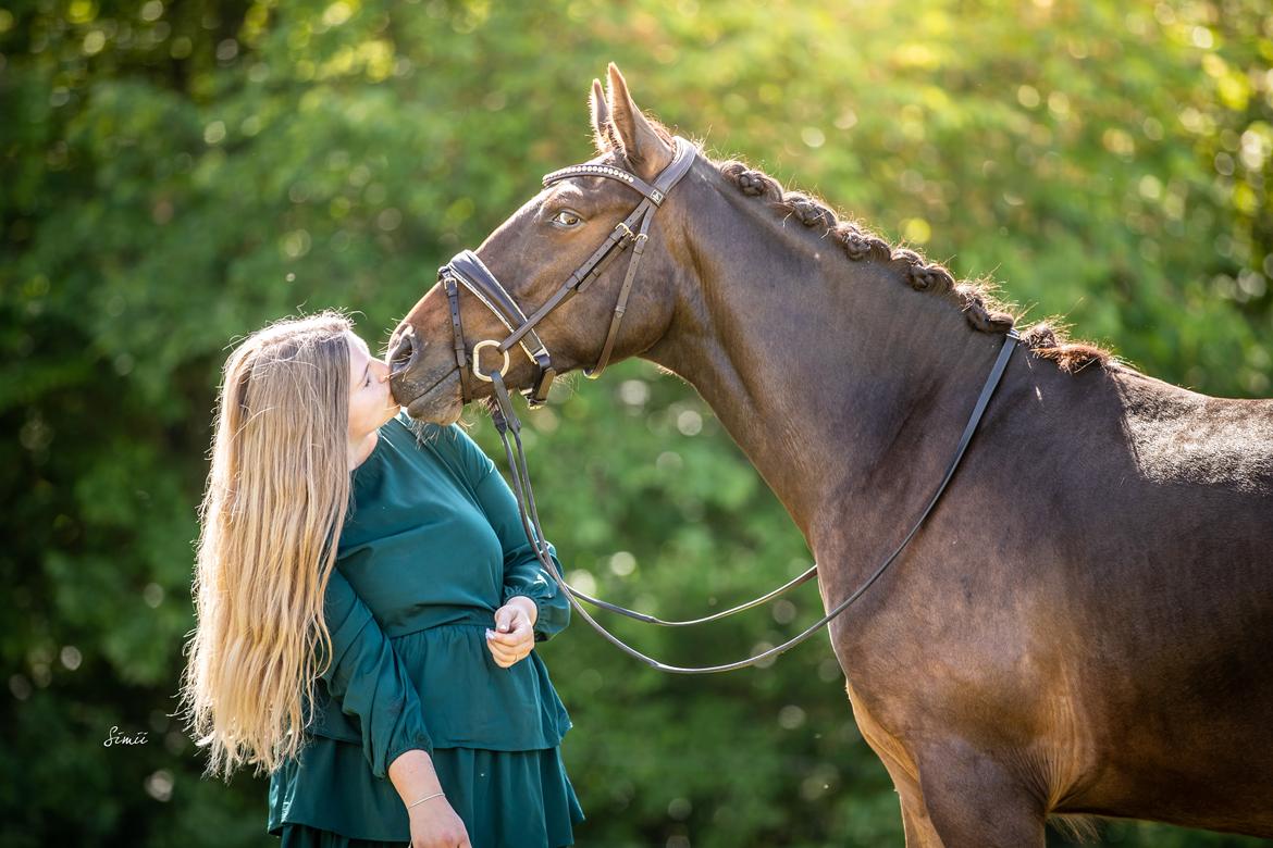 Knabstrupper Ingemanns Tahiti - 2 års (maj 2022). Min bedste ven <3 billede 7