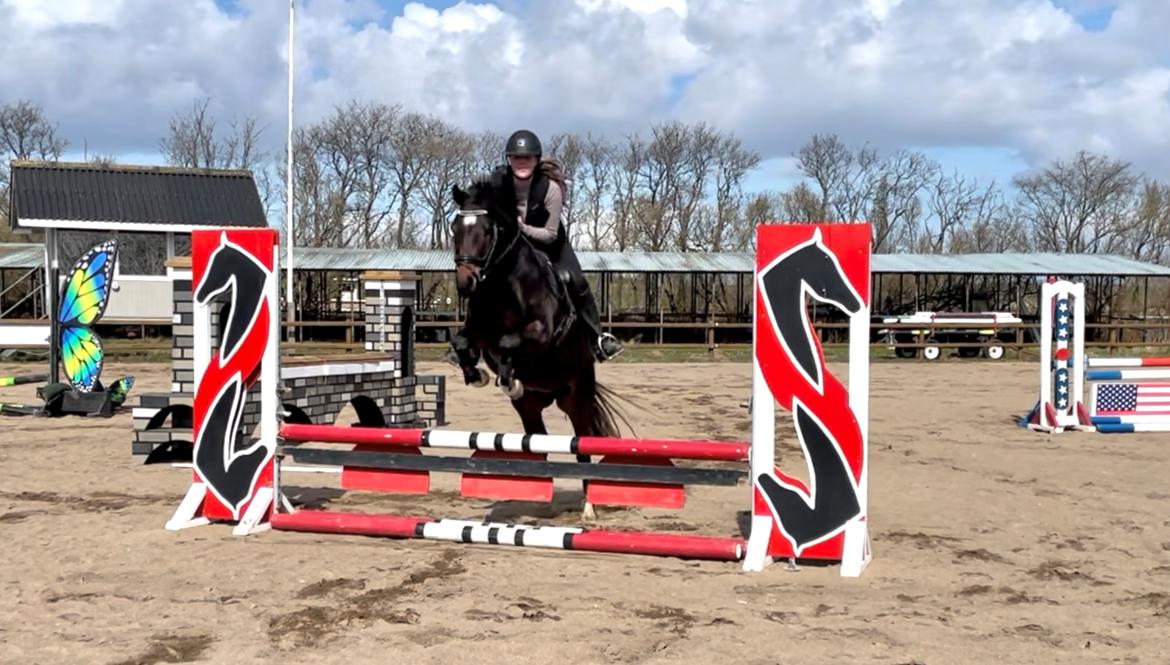 Anden særlig race TRUBKA'S RICARDO NIGHT billede 16