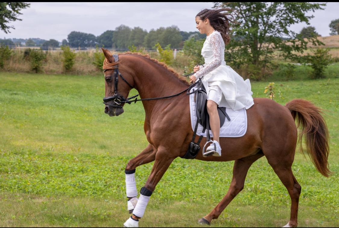 Anden særlig race Lindknud's madonna billede 5