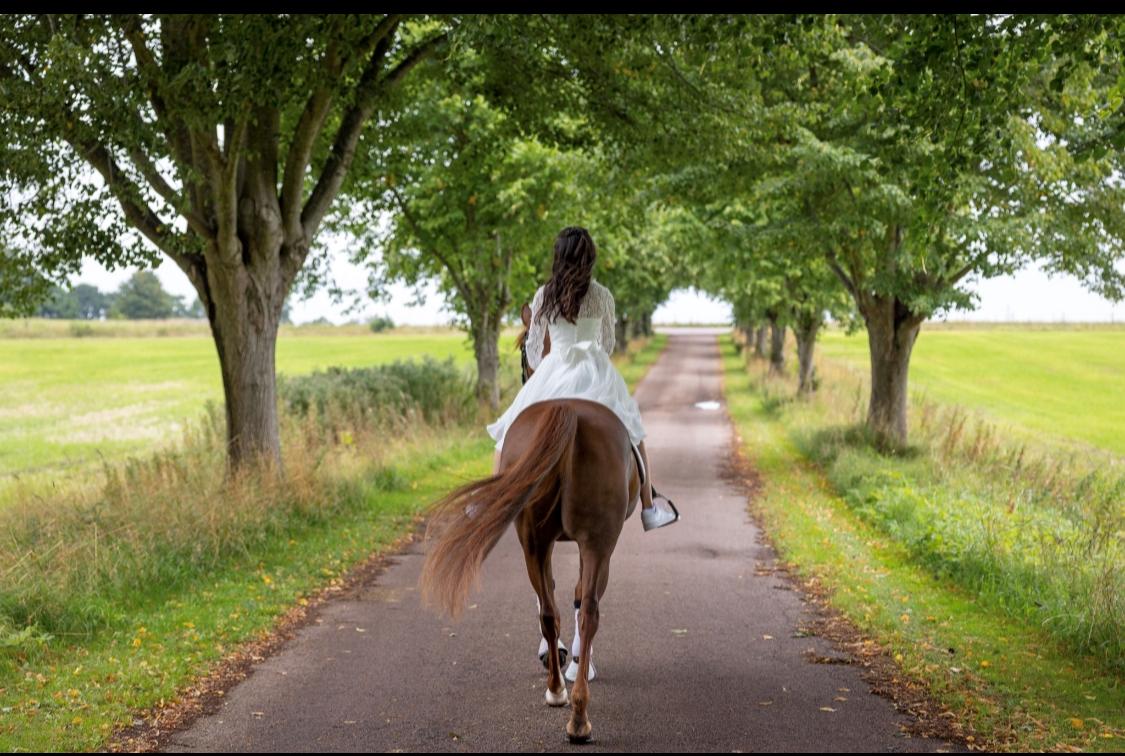 Anden særlig race Lindknud's madonna billede 6