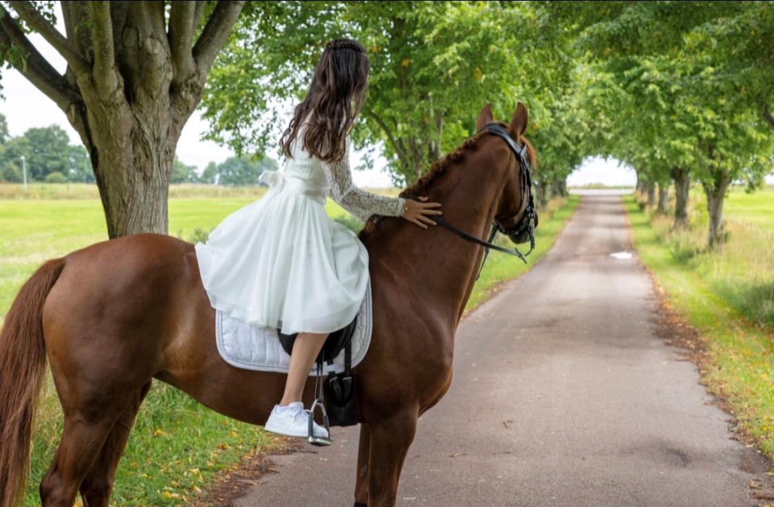 Anden særlig race Lindknud's madonna billede 7