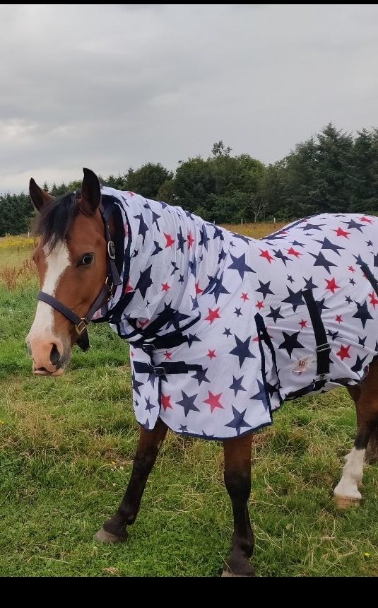 Anden særlig race Luka ( Luksen) billede 1