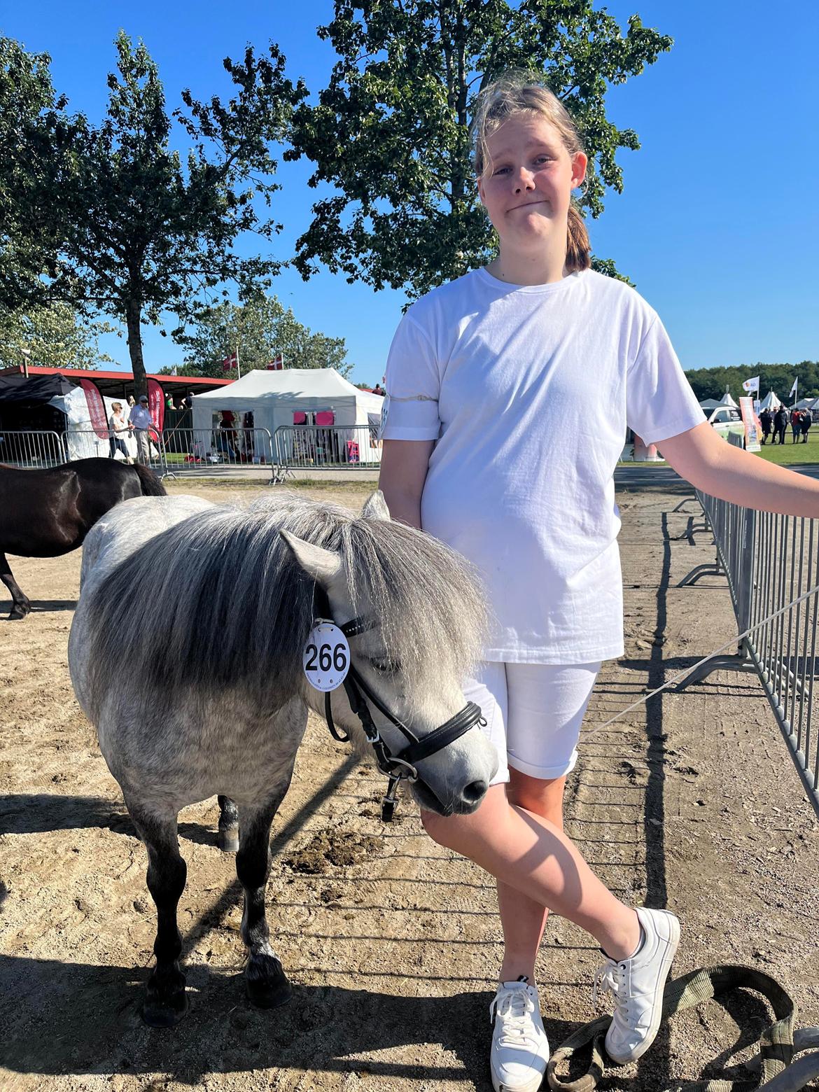 Shetlænder Møllegården,s Diana billede 10