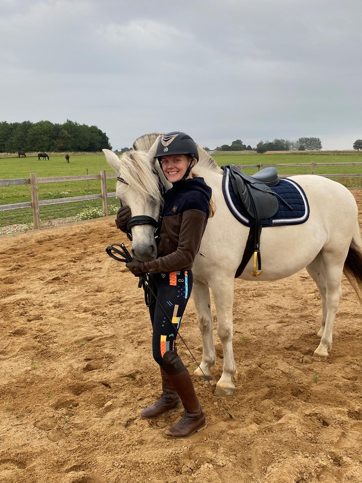 Fjordhest Søndermarkens Frey - Sommeren 2022 billede 14