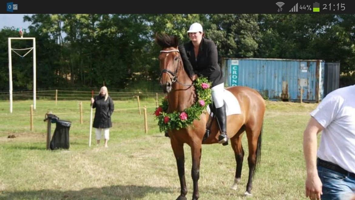 Anden særlig race Serrano billede 20