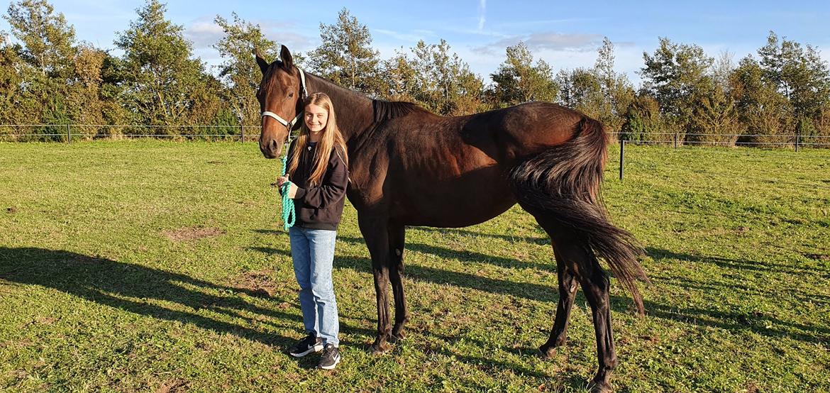 Fuldblod (XX) Ametyst (Tysse) - Første dag hjemme billede 14