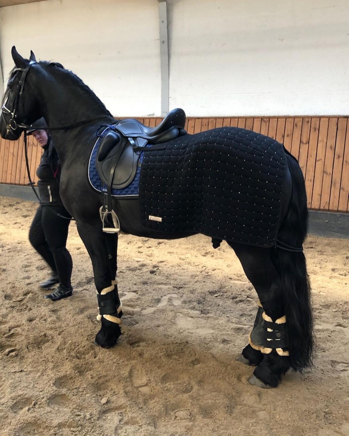 Frieser Anton fan stald barok billede 14