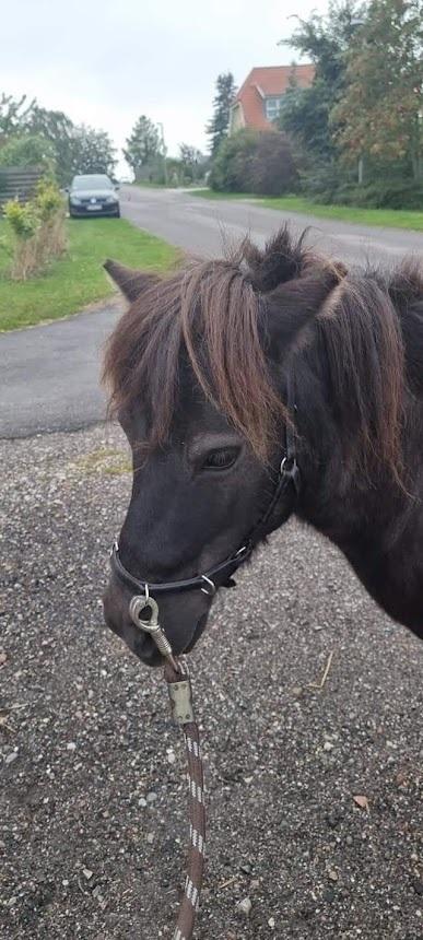 Anden særlig race I Luna billede 3