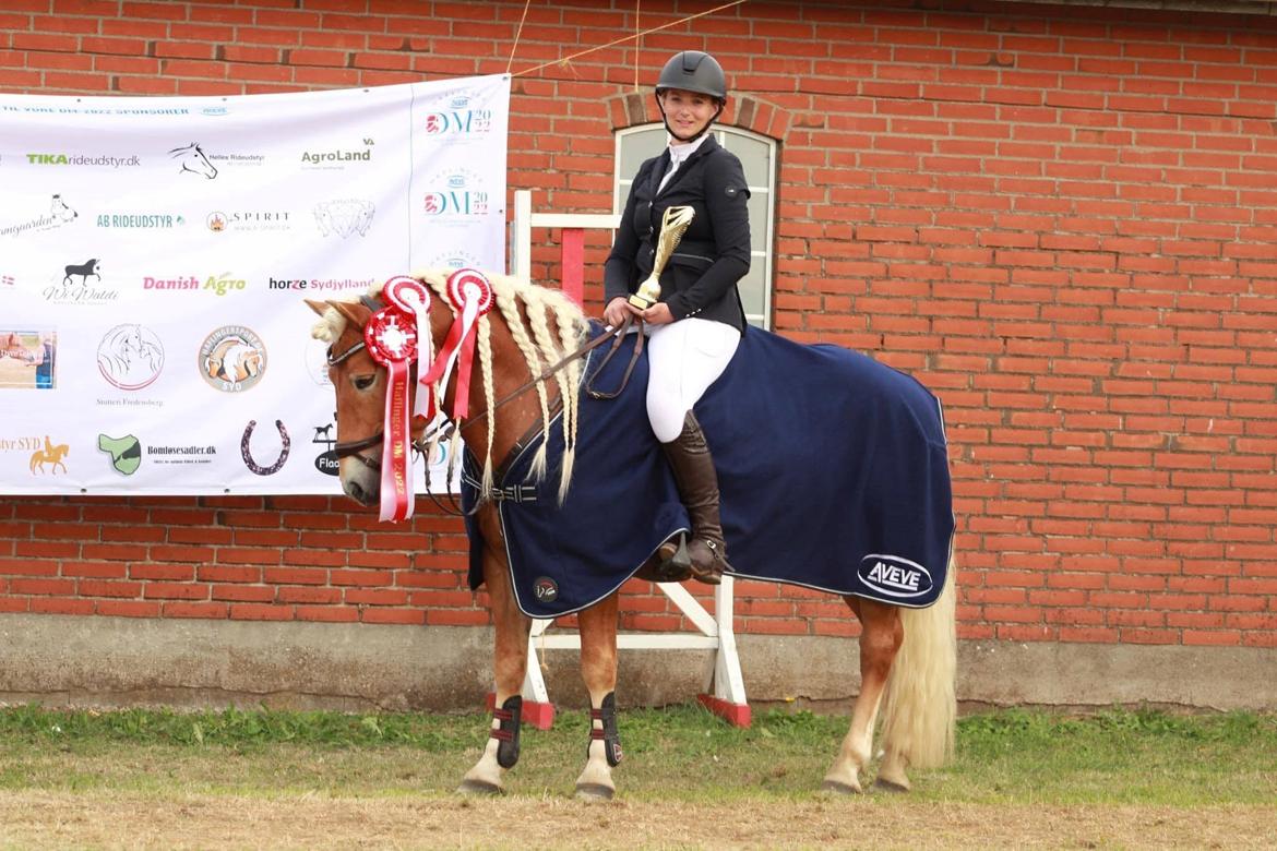 Haflinger Stroller - Danskmester i spring for ungheste 2022 billede 1