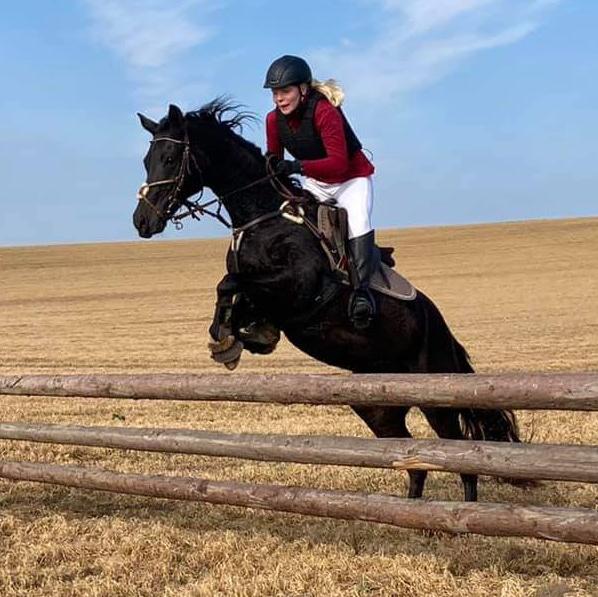 Tysk Sportspony Lady Chanel billede 7