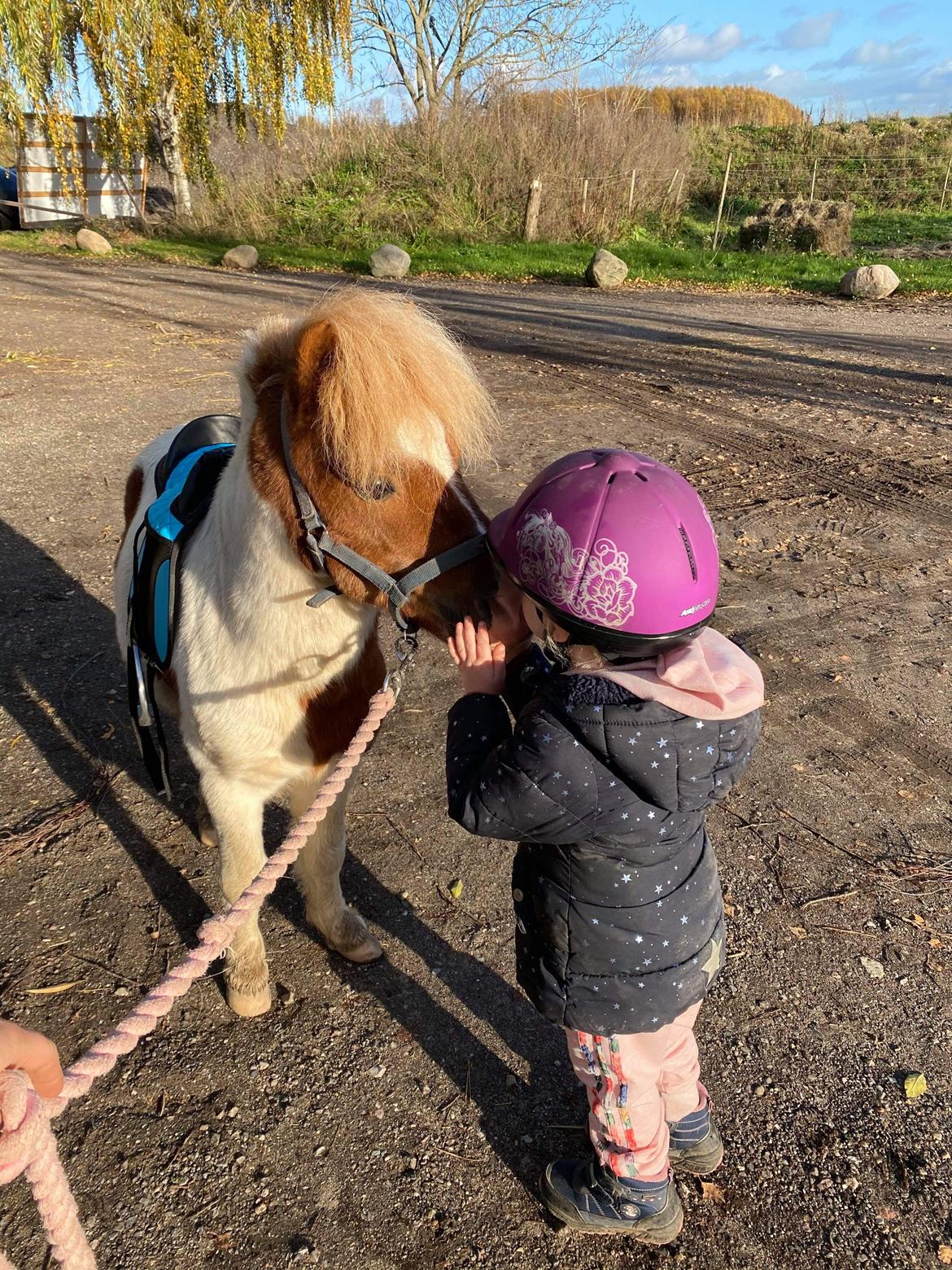 Anden særlig race Tequila solgt billede 2