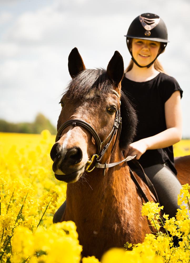 Anden særlig race linus - hans mule<3<3 billede 13