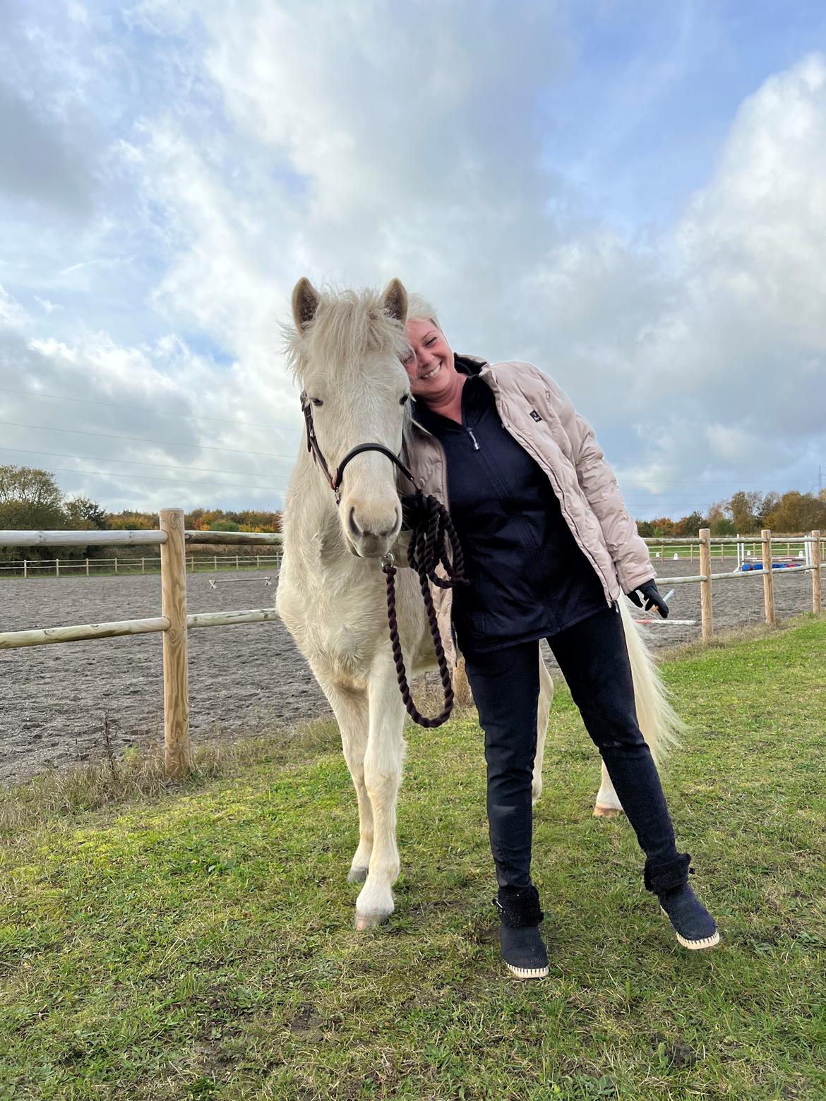 Islænder Sía fra Lundegårde billede 44