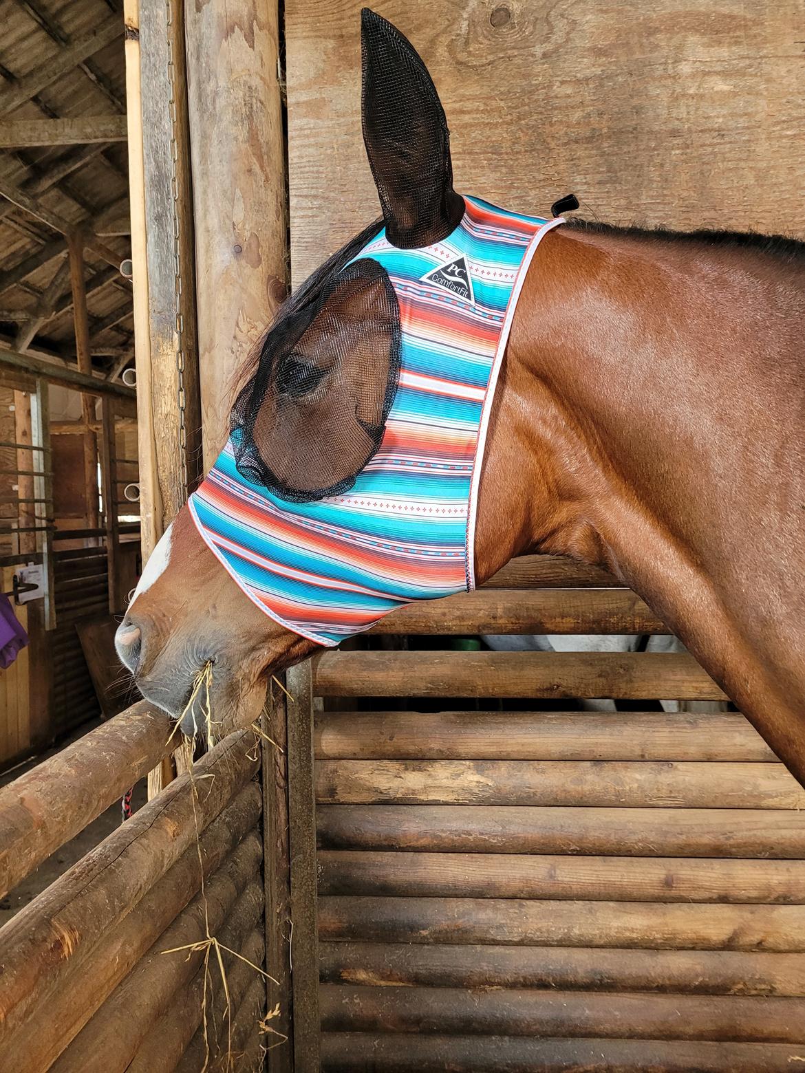 Traver Cocochanel Vincent  billede 6