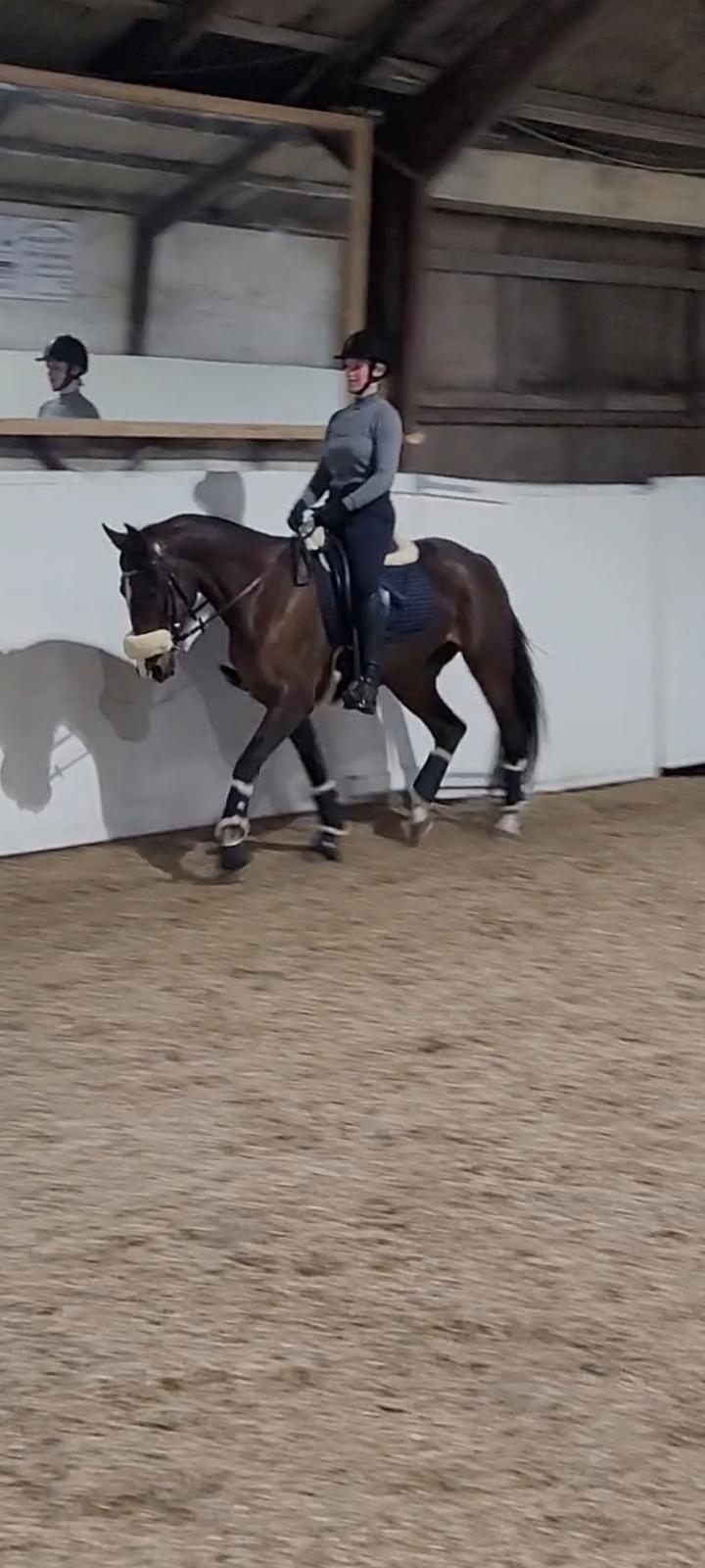 Traver Cocochanel Vincent  billede 7