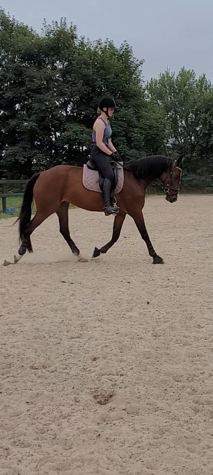 Traver Cocochanel Vincent  billede 5