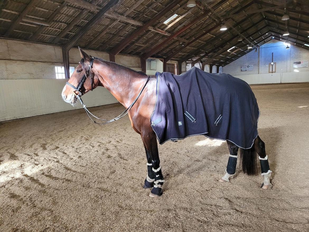 Traver Cocochanel Vincent  billede 2