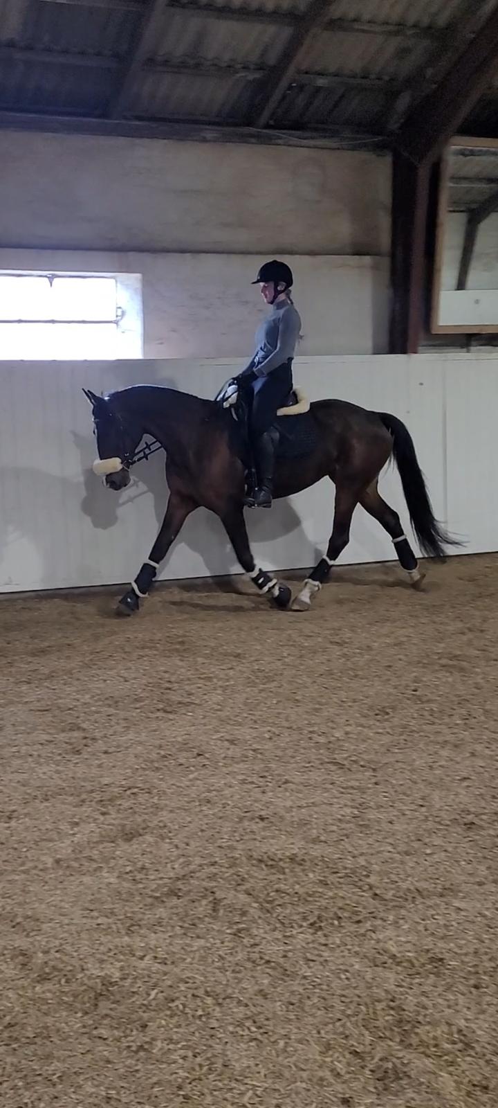 Traver Cocochanel Vincent  billede 1