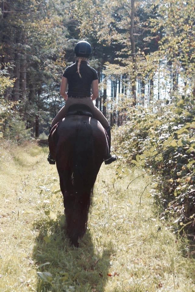 Tysk Oldenburger DS’ Dolce Mazarati  billede 2