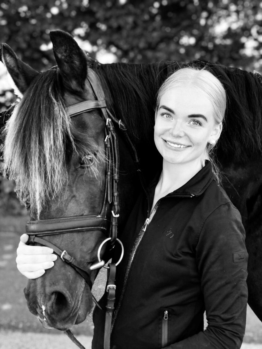 Tysk Oldenburger DS’ Dolce Mazarati  billede 8