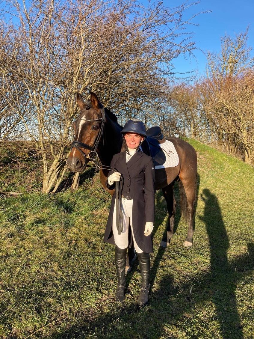 Tysk Oldenburger DS’ Dolce Mazarati  billede 19