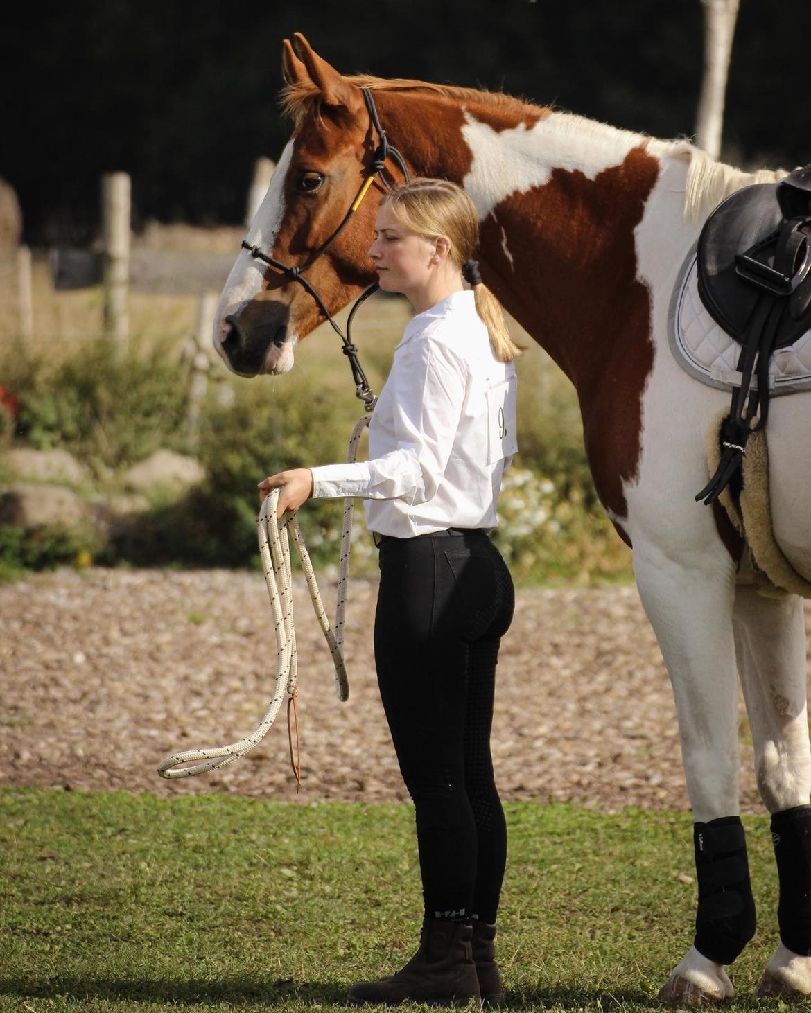 Anden særlig race Thusgaard's Yakari billede 18