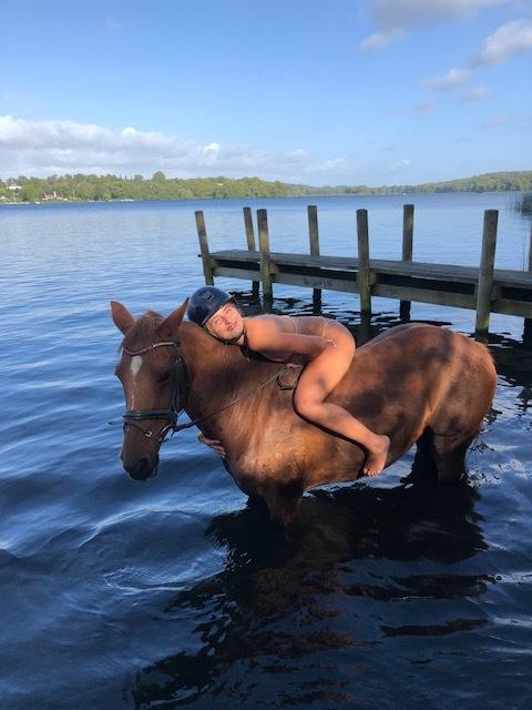 Anden særlig race Clements Penelope billede 3