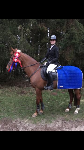 Anden særlig race Clements Penelope billede 9