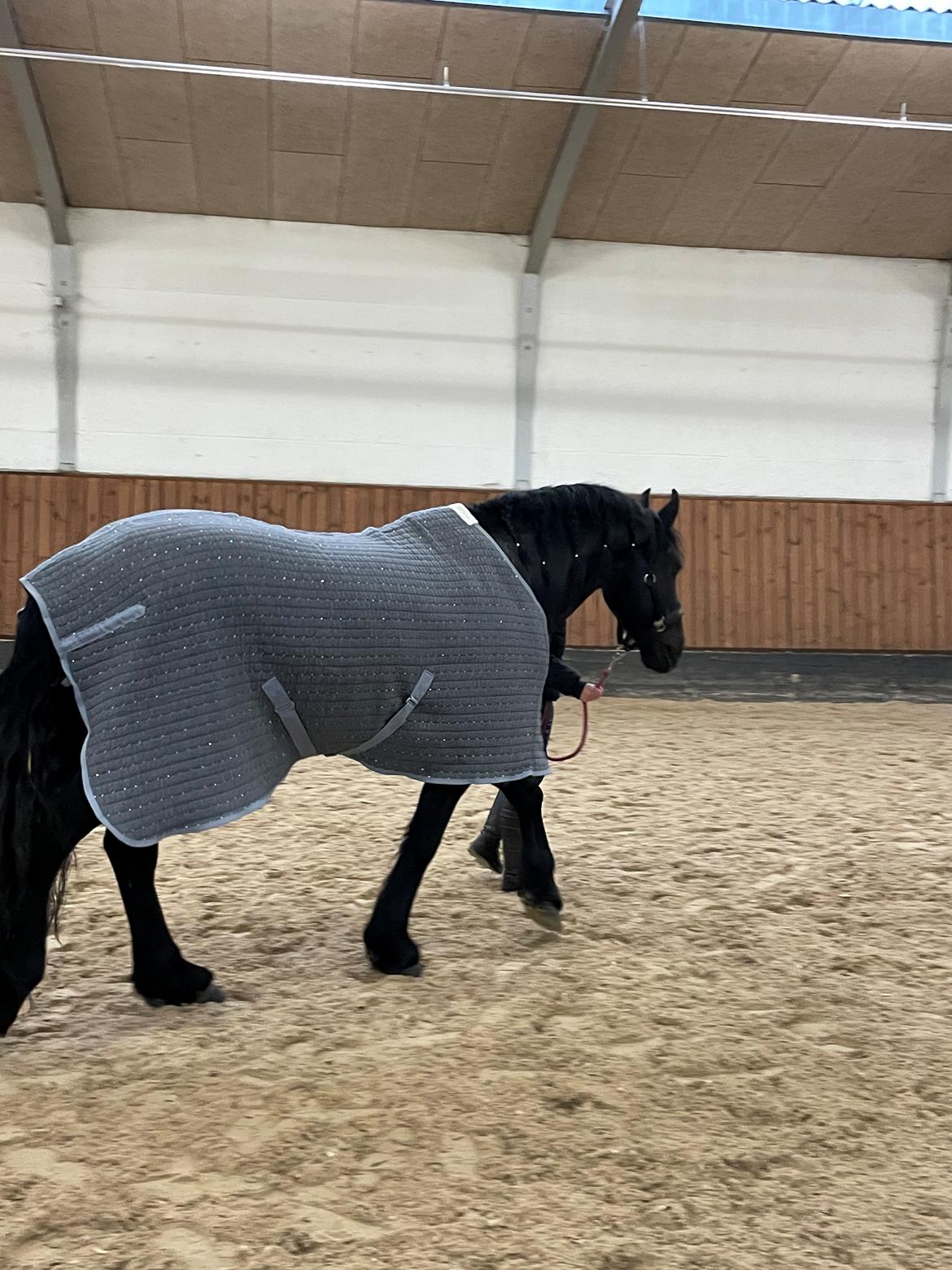 Frieser Anton fan stald barok billede 15