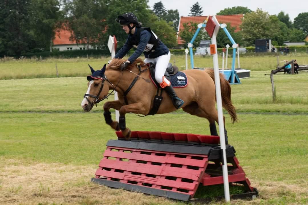 Anden særlig race Strejfer - D1 mesterskab 2020 - Strejfer var flyvende i terrænet billede 14