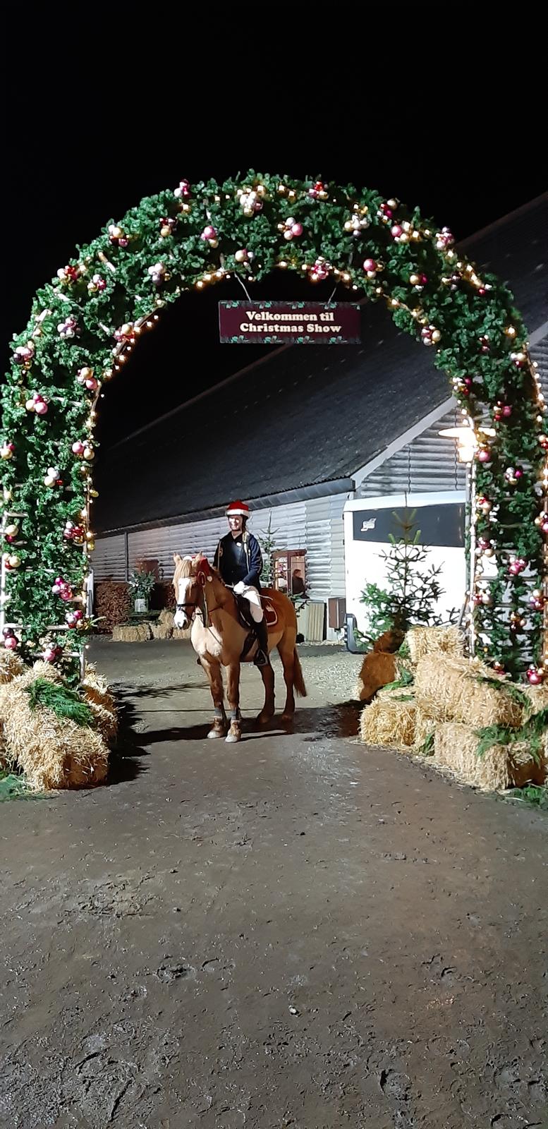 Anden særlig race Strejfer - CSWUP 2019 - en fantasik milepæl billede 13