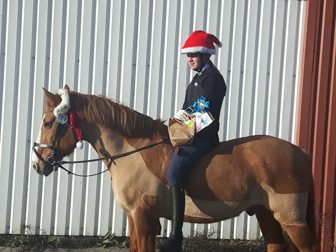 Anden særlig race Strejfer - bareback 60 cm, hvorfor ikke ;) billede 8