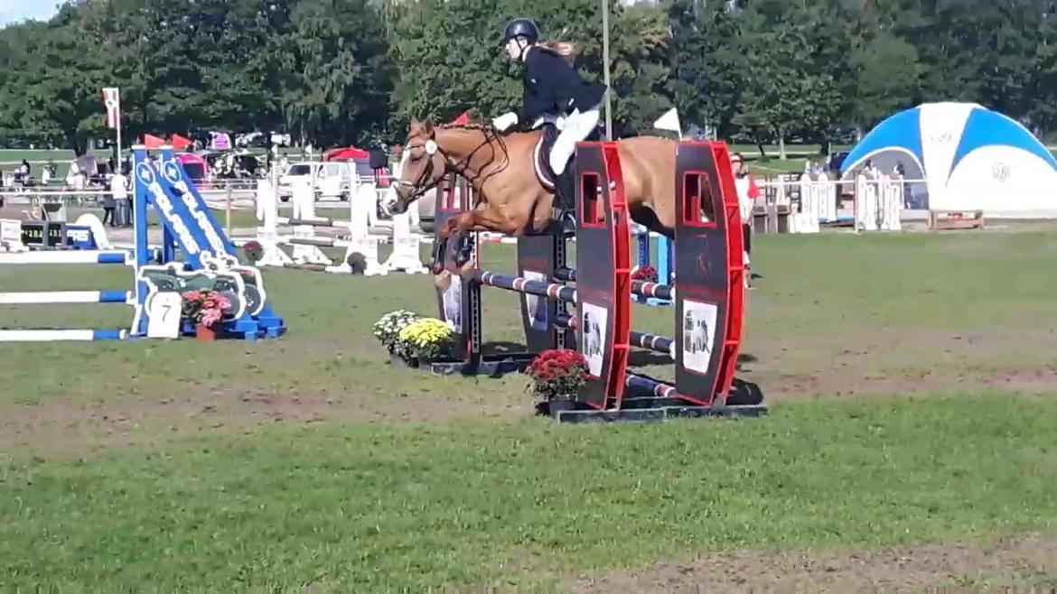 Anden særlig race Strejfer - springe? Næh, vi fløj :)) billede 10