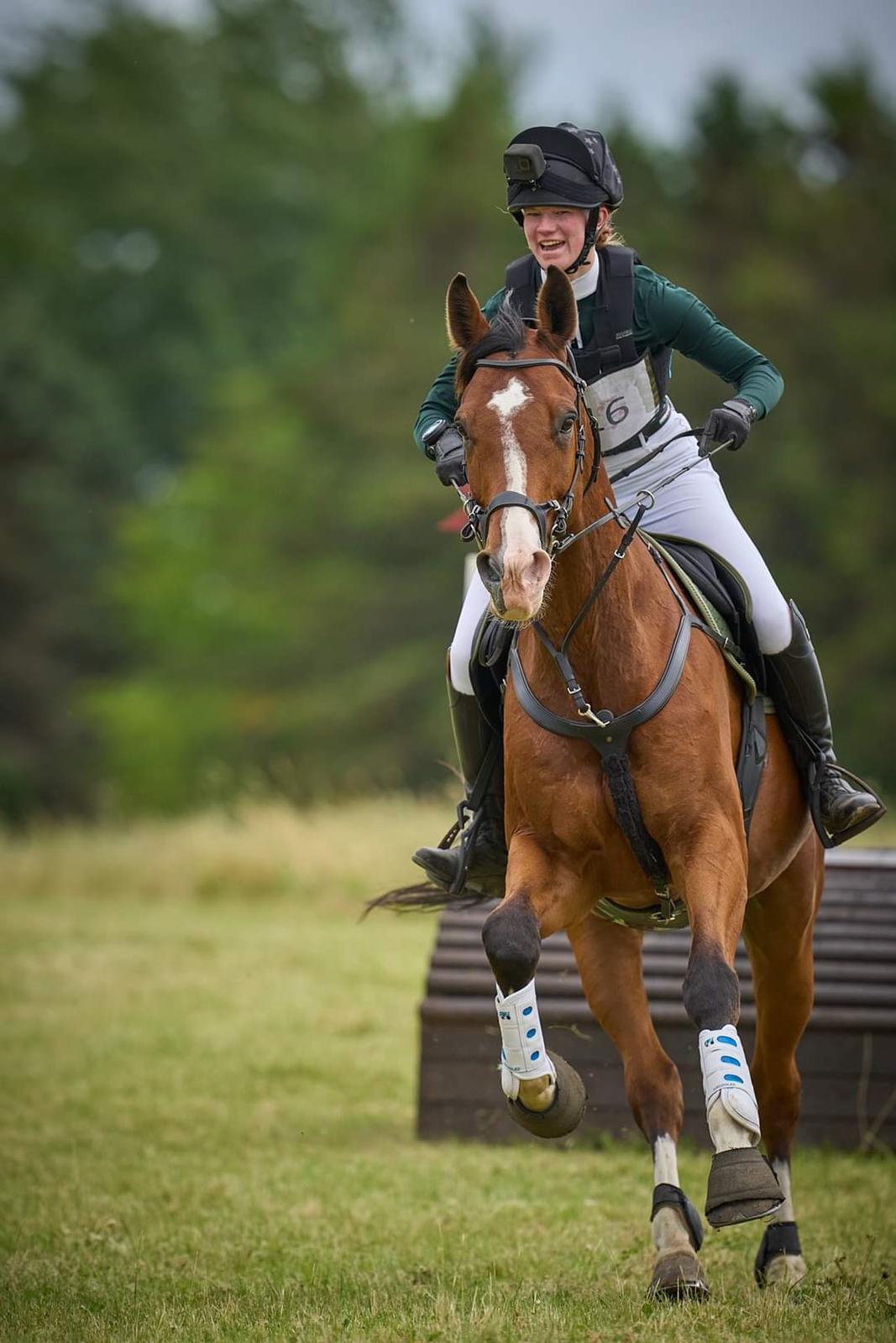 Dansk Varmblod Lonely heart - "DYGTIG DRENG!" Til mit forsvar blæste det ret meget ;) billede 12
