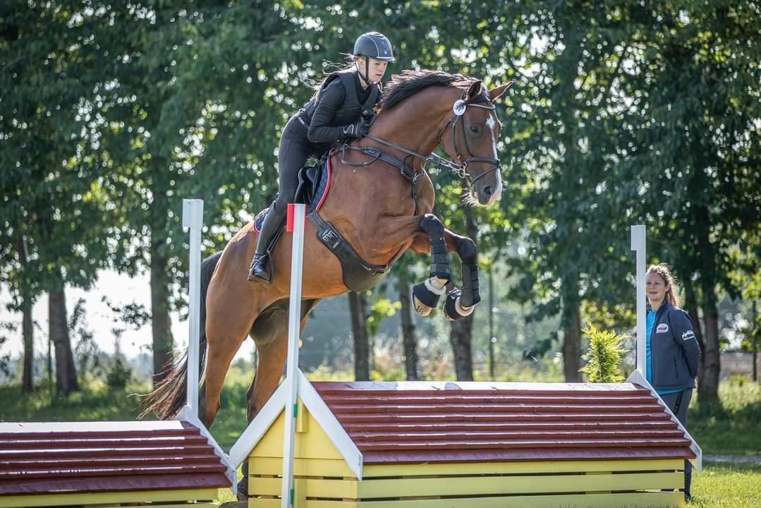 Dansk Varmblod Lonely heart - Hvis der er en der får 80 til at se småt ud, så det LH ;)) billede 1