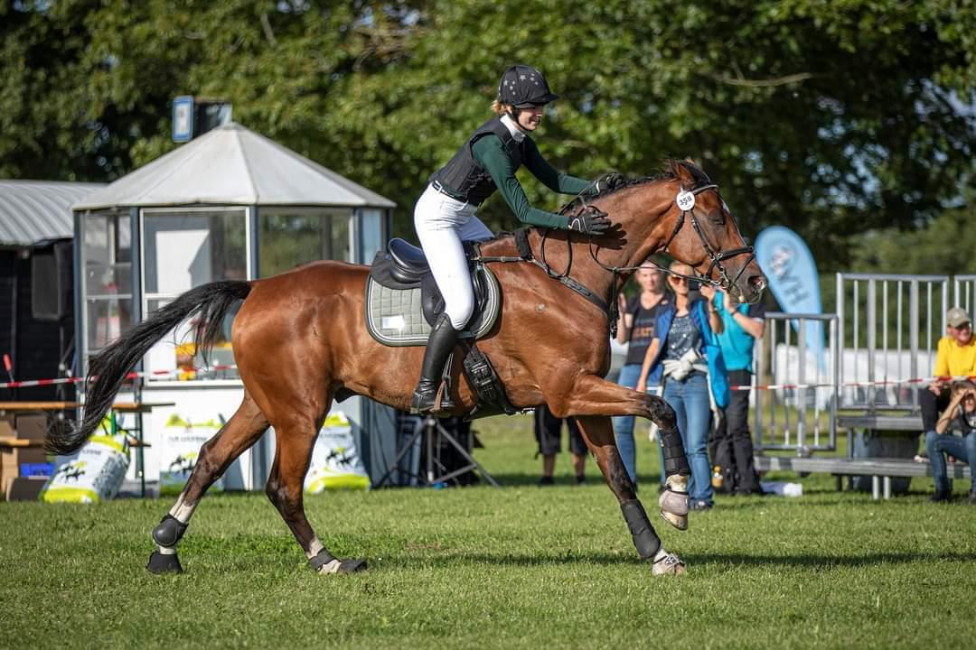 Dansk Varmblod Lonely heart - Æresrunde? ja tak, siger ponz billede 9