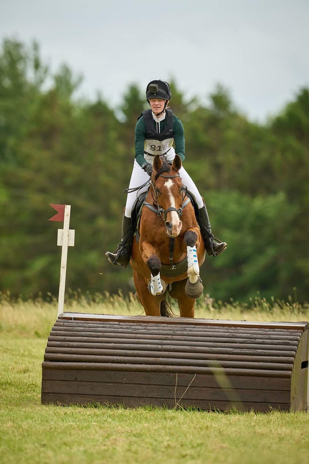 Dansk Varmblod Lonely heart - Ponz flyvende i CNC80 billede 11