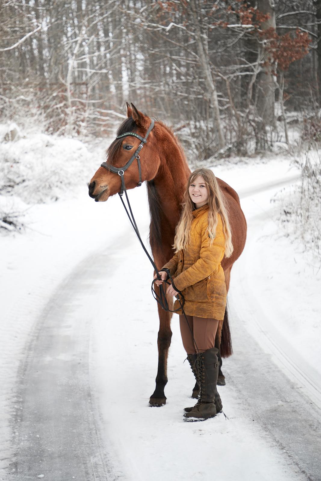 Arabisk fuldblod (OX) Tayisha Van Charm ox  billede 11