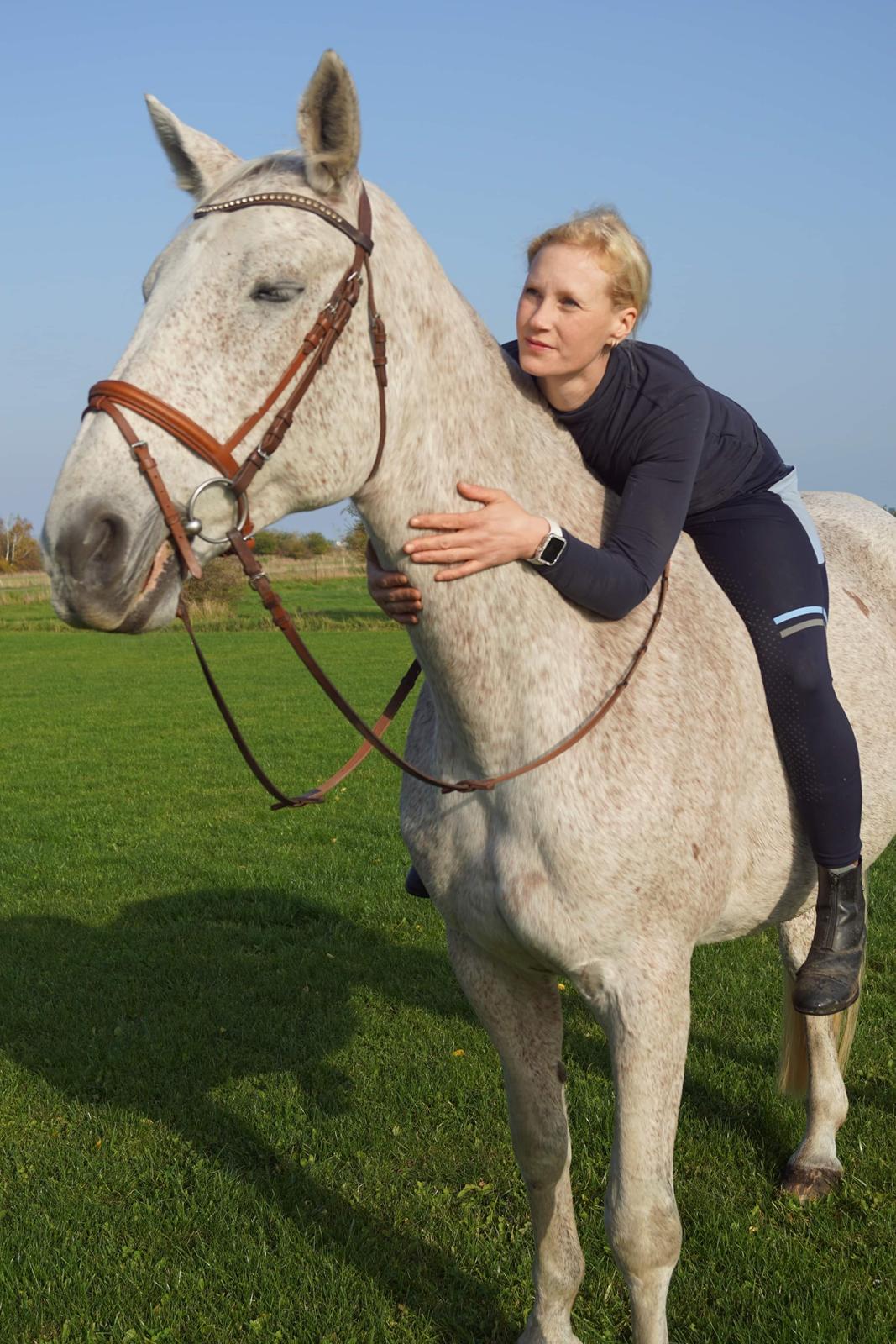 Tjekkisk Varmblod  Wavo carta billede 13