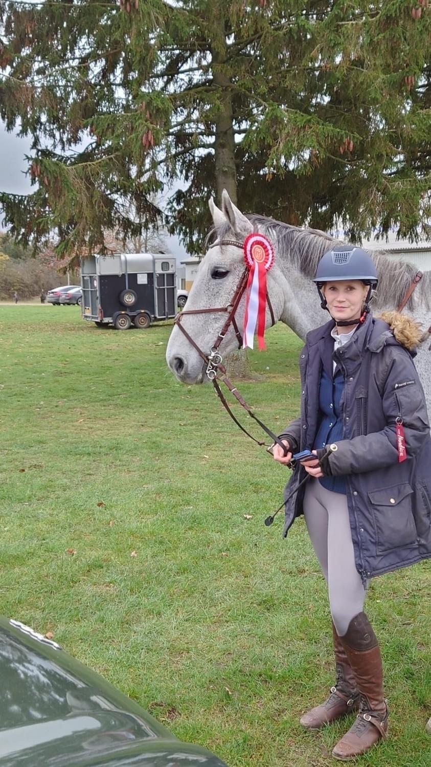 Zangersheide Pachanga Z billede 11