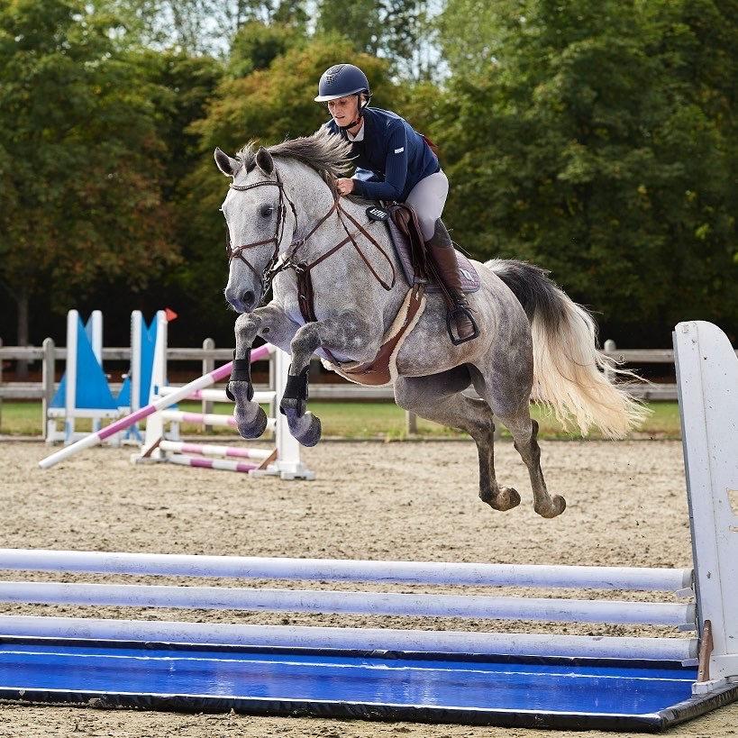 Zangersheide Pachanga Z billede 13